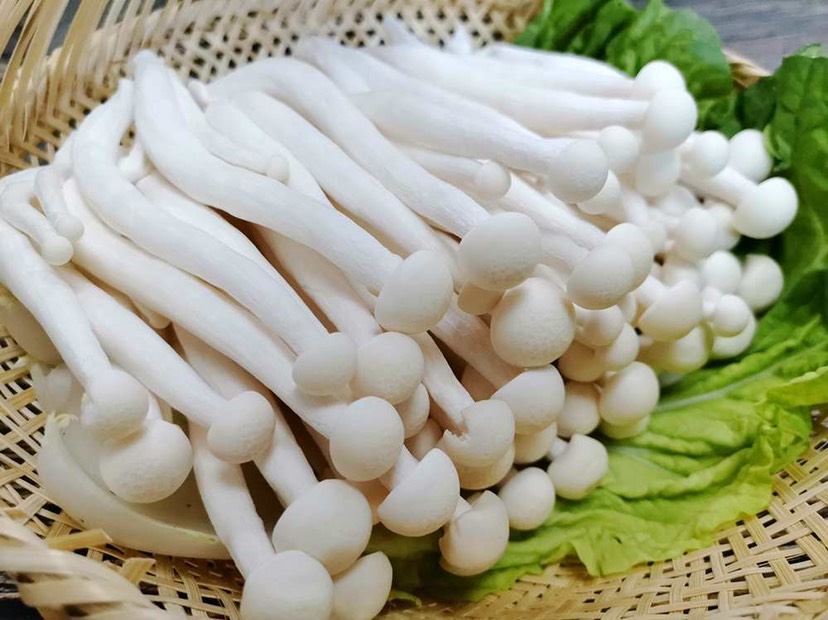 海鮮菇 工廠化 250克精美包裝 廠家直銷(xiāo)貨源充足 質(zhì)量保