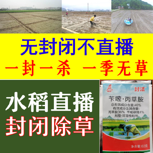 肥东县丙草胺  工厂直发苄嘧40%内含12%安全剂 水稻直播封闭除