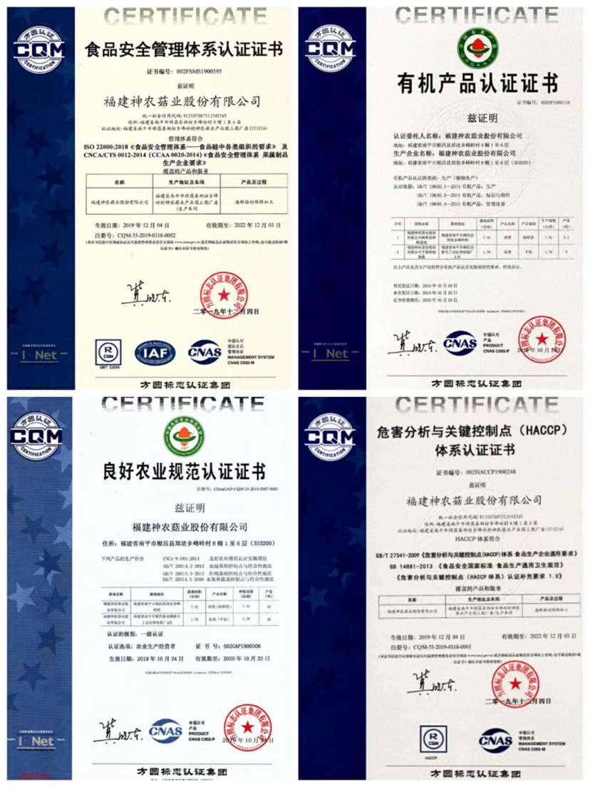 海鮮菇 工廠化 250克精美包裝 廠家直銷(xiāo)貨源充足 質(zhì)量保