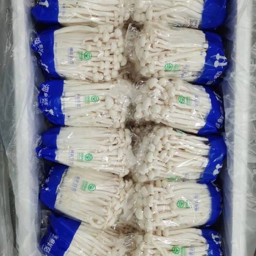 海鲜菇 工厂化 250克精美包装 厂家直销货源充足 质量保