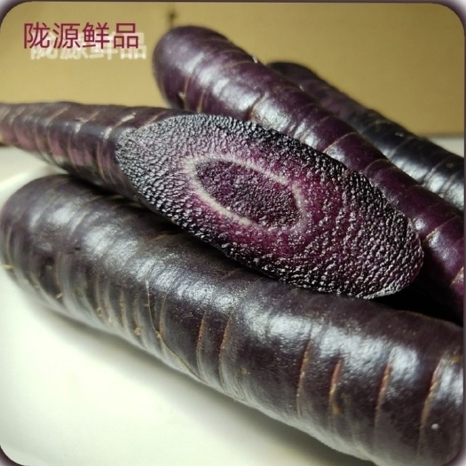 长沙紫胡萝卜 【精选】紫色胡萝卜水果胡萝卜海拔2200米特色农产品2斤起包