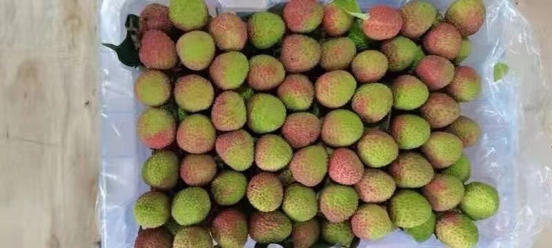 海口妃子笑荔枝 海南妃子笑