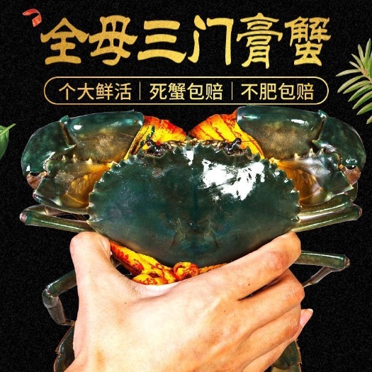 长沙 正宗三门青蟹鲜活 特大 超大母膏蟹公母搭配大青蟹海鲜非黄油蟹
