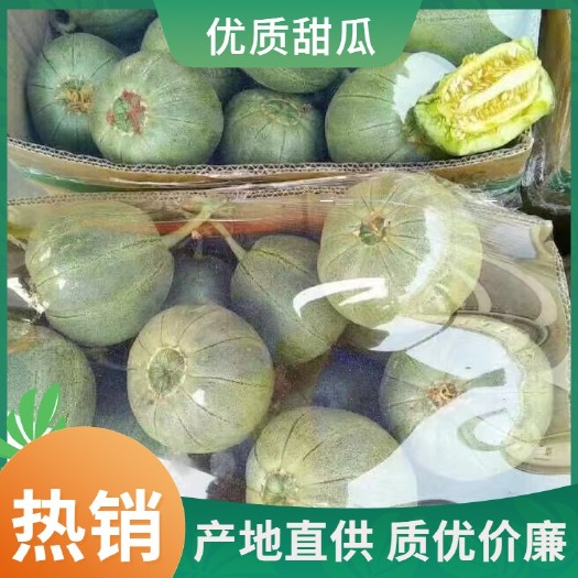 费县绿宝石甜瓜 绿宝石  精品绿宝石   电商专用。超市市场专用