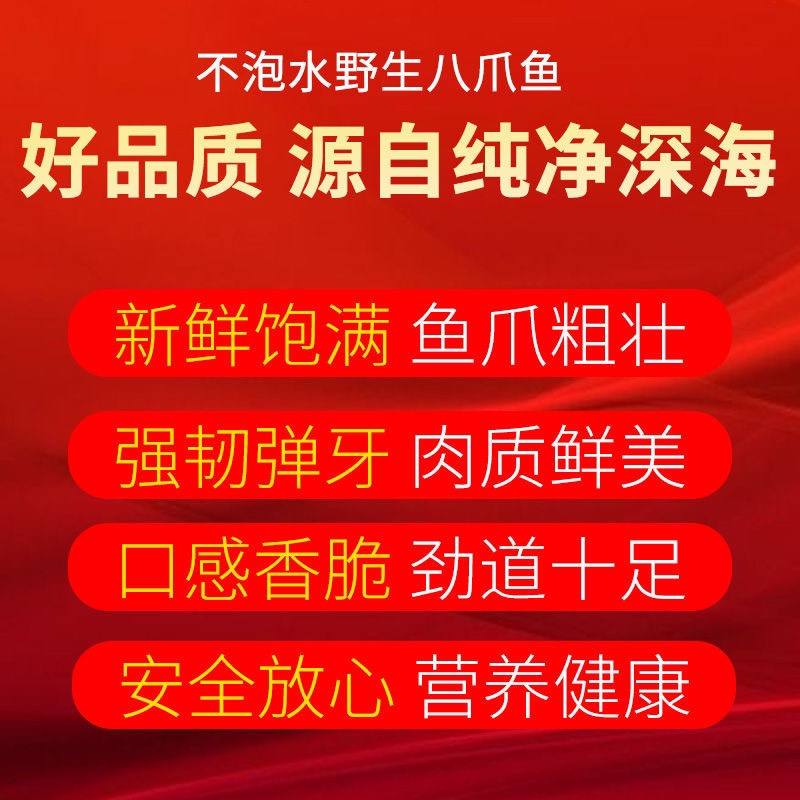  八爪鱼大爆头八抓鱼海鲜水产鲜活新鲜深海新鲜海鱼迷你章鱼足鱿鱼