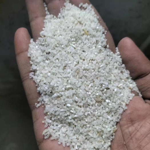 上海印度碎米量大批发一手货源