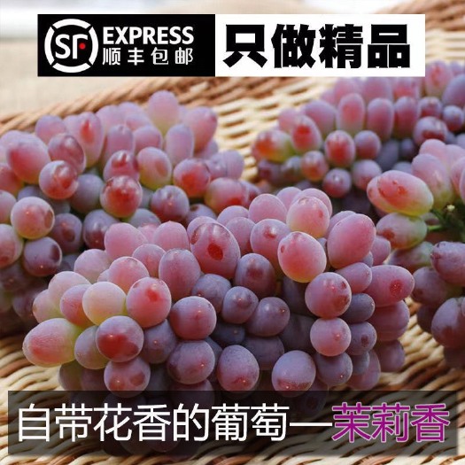 长沙 东北茉莉香葡萄新鲜提子郁金香水果包邮整箱非无籽红提玫瑰香葡萄