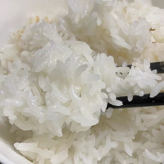 施秉县 碎米