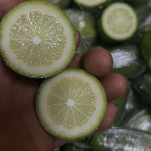 容县香水柠檬青皮无籽一级