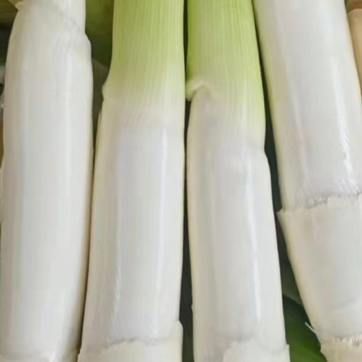 漳州 茭白