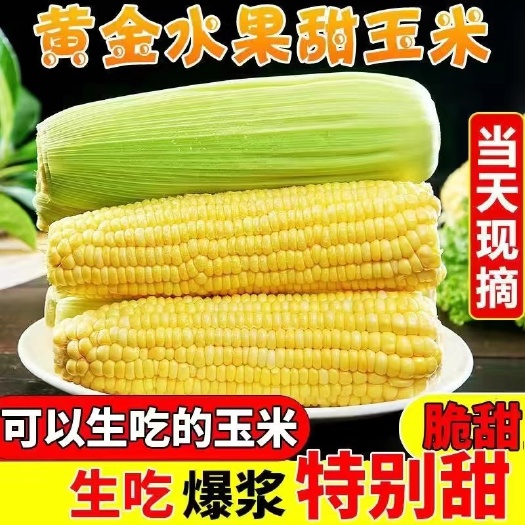 昆明云南新鲜现摘双色金银水果玉米一件代发 市场 空运 冷链 全年