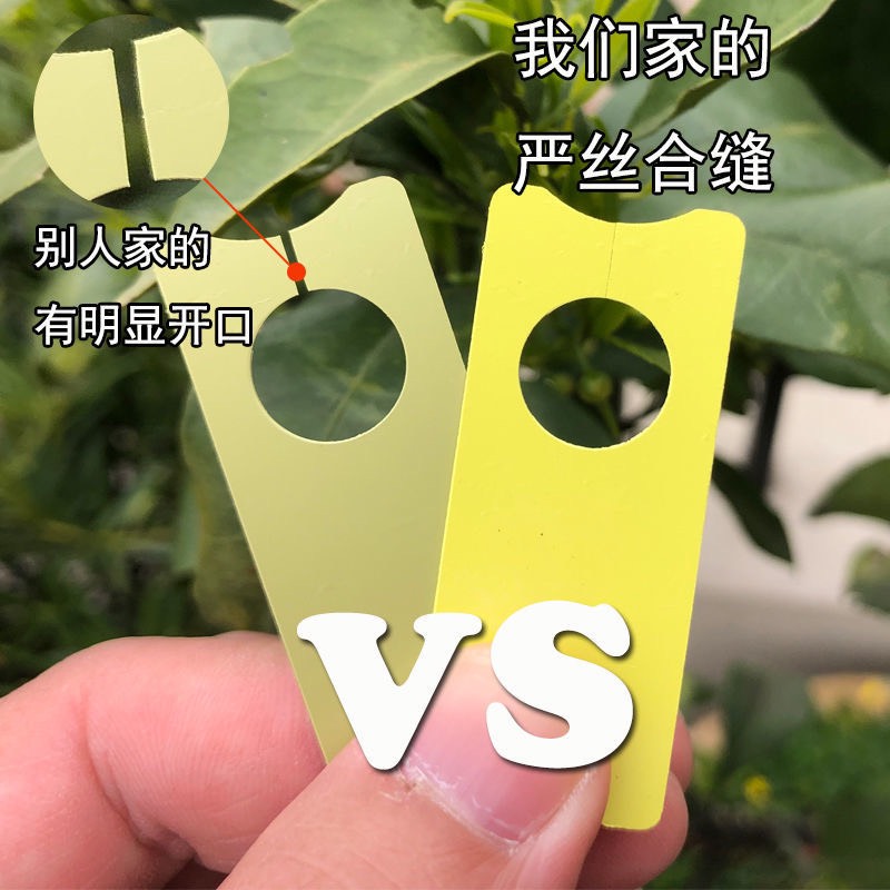 育苗防护资材  葡萄标记牌标识卡色卡西瓜坐果塑料标签牌