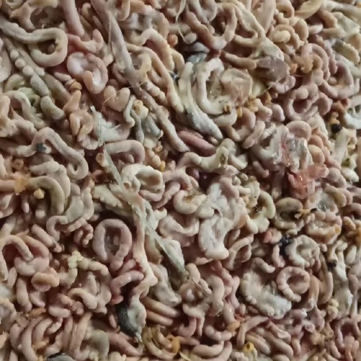 莘县配合饲料 鱼料 狗食貂 饲料的