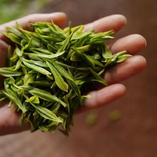 舒城县绿茶舒城小兰花2023新茶明前春茶手工农家浓香型