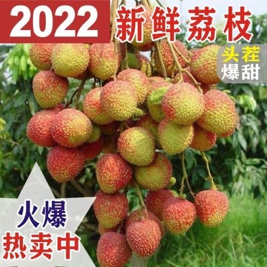 海口 海南妃子笑荔枝水果上市啦