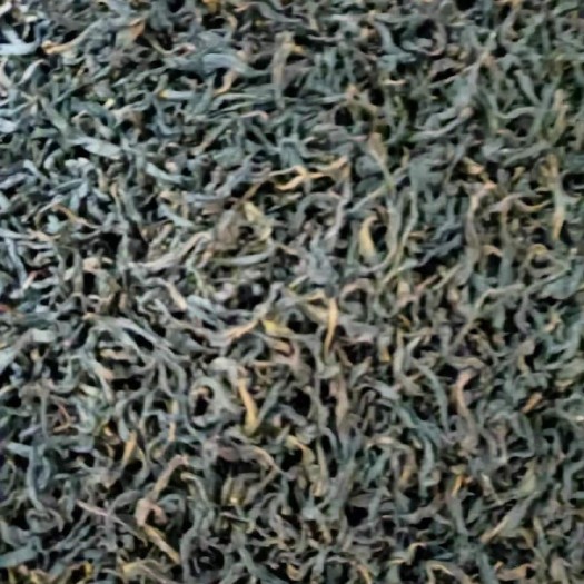 潮州单丛茶 凤凰单枞乌叶