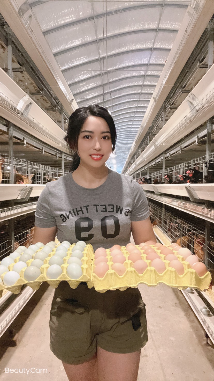 小裴綠殼土雞蛋養(yǎng)殖場