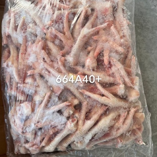 清丰县鸡爪 巴西664A鸡脚