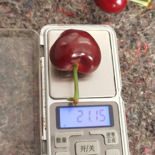 临朐县美早樱桃 精品美早大果含特大果 单个精挑！价格美丽！口感超赞