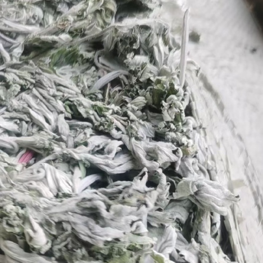 旬阳市 艾叶 艾草 艾苗