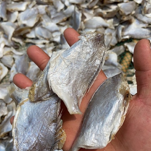 北海腊鱼干 红绸鱼干 立仔鱼干 小赤棕鱼 沙腊鱼干海鲜干货