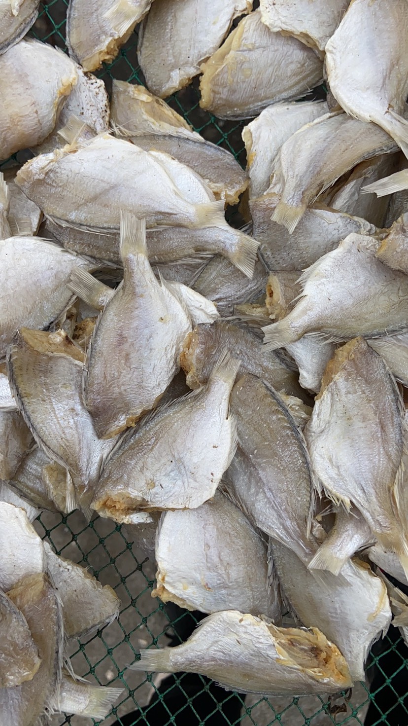 臘魚干 紅綢魚干 立仔魚干 小赤棕魚 沙臘魚干海鮮干貨