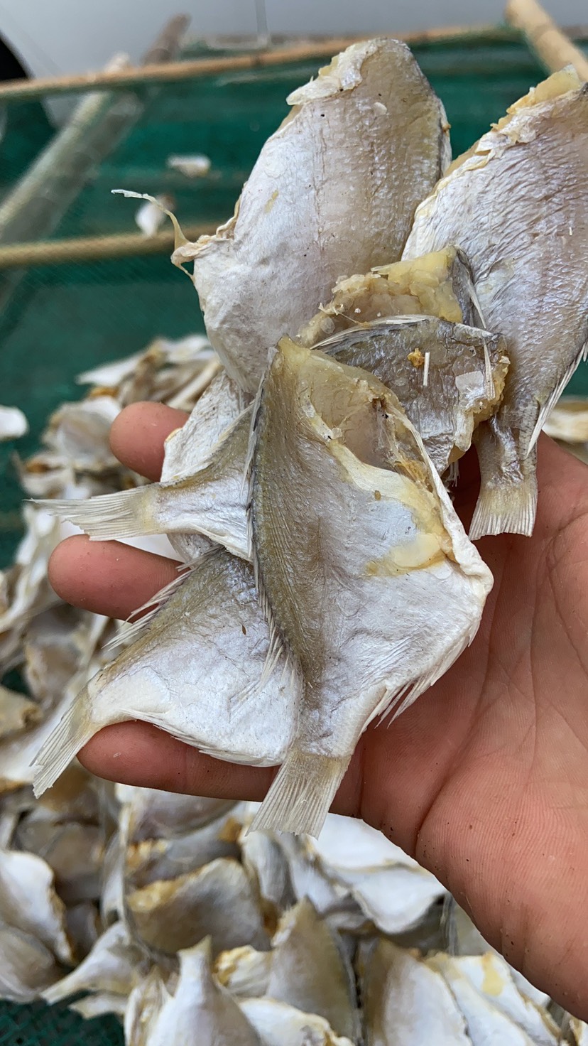 臘魚干 紅綢魚干 立仔魚干 小赤棕魚 沙臘魚干海鮮干貨