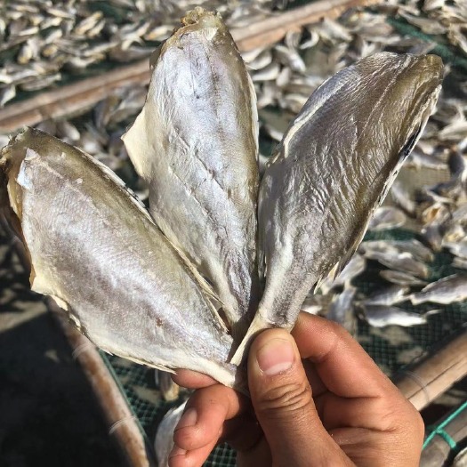 北海鲈鱼干 花丽鲈鱼 甘草条 海鲜干货广西北海特产鱼干