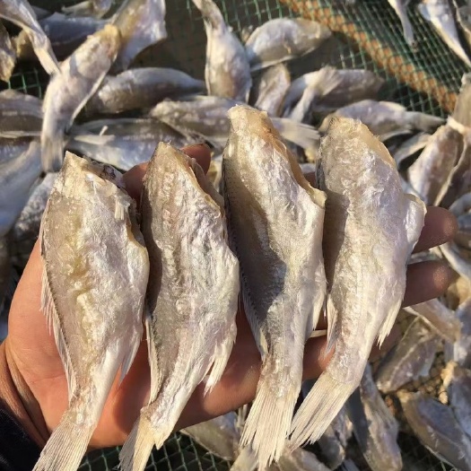 北海黄花鱼干 北海特产风干咸鱼鱼干 小黄鱼海鲜干货
