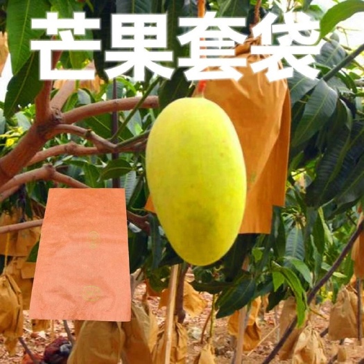 平和县种植套袋 芒果套袋金煌贵妃红玉青芒果专业保护果袋子纸套袋