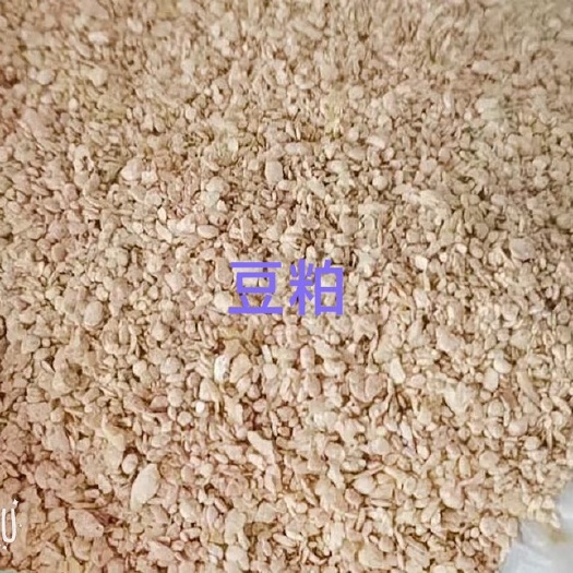 石家庄玉米浆干粉  豆粕