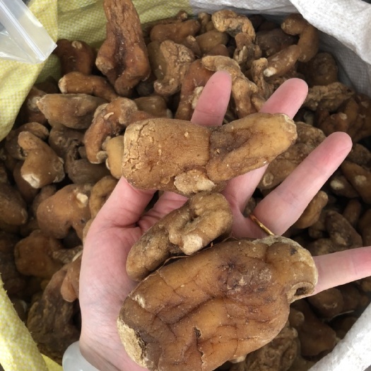 玉林鸡头黄精 黄精——-甜味鸡头精