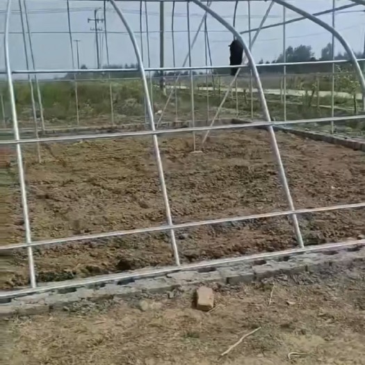天津 小型种植户大棚，有小型种植户可以参考参考，