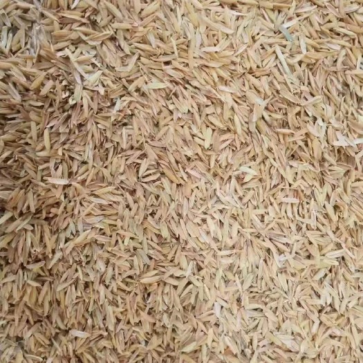 印江县压缩稻壳，打包稻壳，酿酒除尘过筛壳，养殖种植，铺垫，常年可供