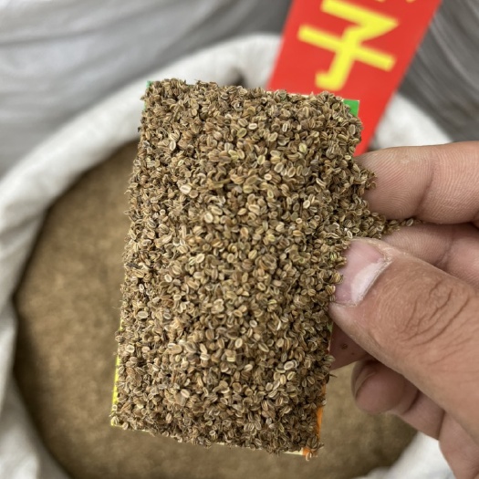 亳州中药材蛇床子，蛇床子，无硫熏，过筛，新货产地一手货源