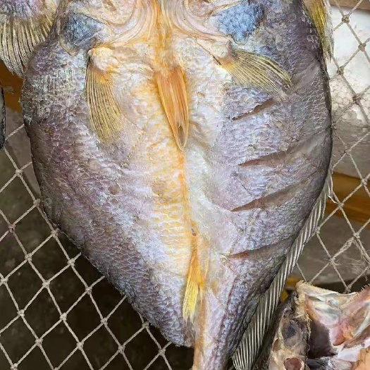 乐清市红肚黄鱼干5-6两/个，味道鲜美，需要联系我