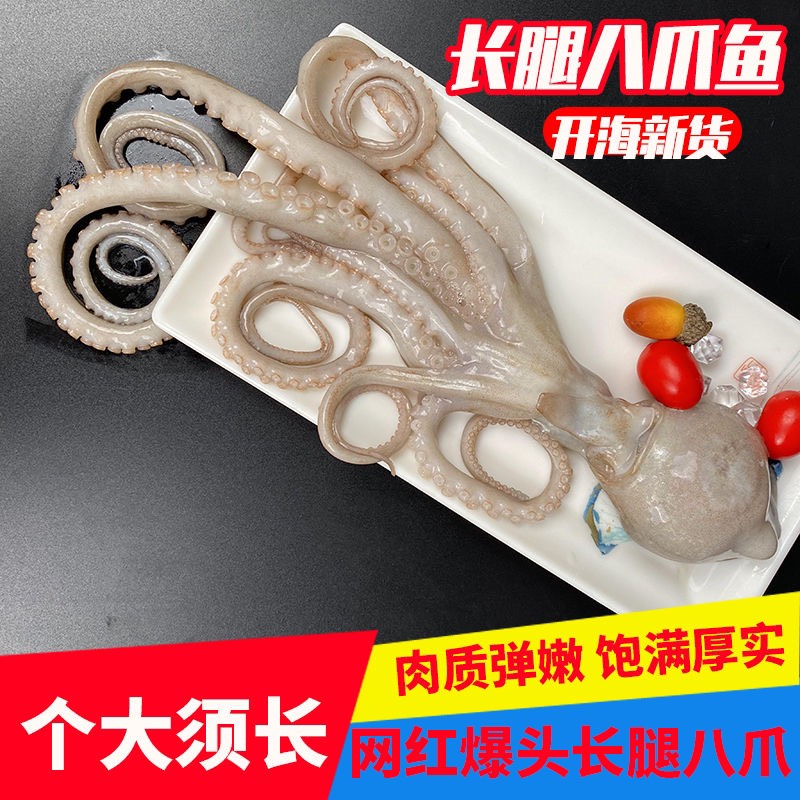 章鱼 网红长腿八爪鱼大爆头八爪鱼批发鲜活新鲜速冻长腿八爪鱼海捕