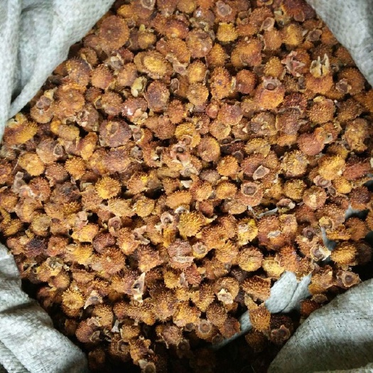 龙里县刺梨干 刺梨