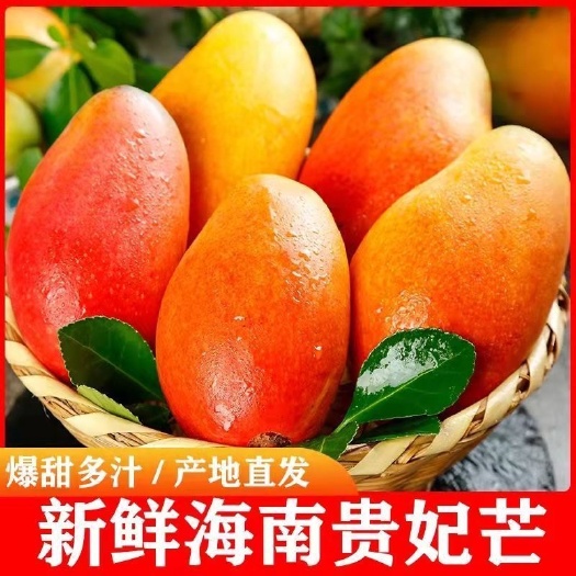 海口正宗新鲜树上熟海南特产贵妃芒果5斤装整箱10斤装箱芒果