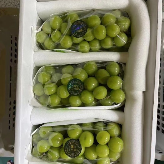 澧县 阳光玫瑰预售，只做精品
