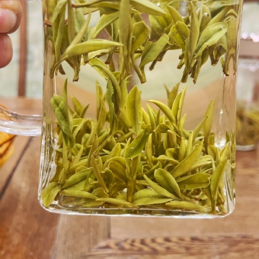 舒城县绿茶雾毫 2023年精品白霜雾毫核心产地晓天白桑园高山手工茶