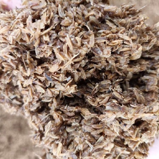 正定县黄酒糟 便宜酒糟饲料 可以发酵 价格便宜 一毛钱一斤