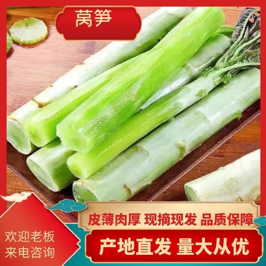 通许县 红叶莴笋