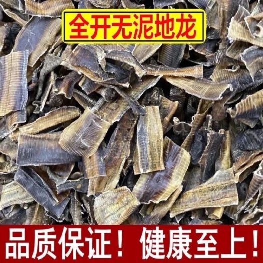 亳州 中药材 全开广西地龙干 无土地龙 无任何泥沙地龙粉 蚯蚓干