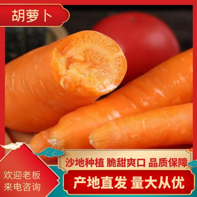 通许县三红胡萝卜产地直销