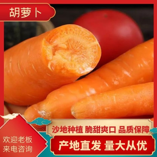 通许县三红胡萝卜产地直销