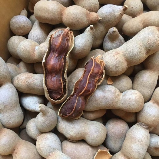 景洪市酸角干 云南甜酸角小角