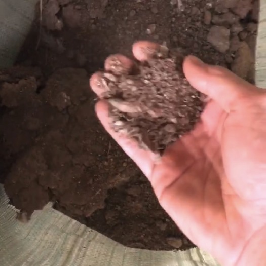 英德市大量批发有机肥鸡粪肥料适用水果蔬菜苗木等作物支持整车物流发货