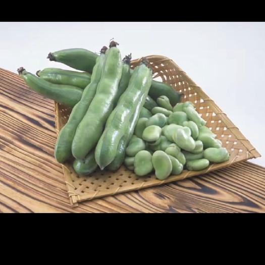 海安市新鲜蚕豆 新鲜采摘，肉量饱满