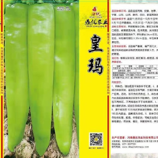 武汉羊角椒苗 高端羊角椒种苗
